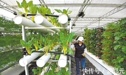 太空種子 神舟十二號(hào)的特殊“乘客”，為農(nóng)業(yè)插上科技翅膀